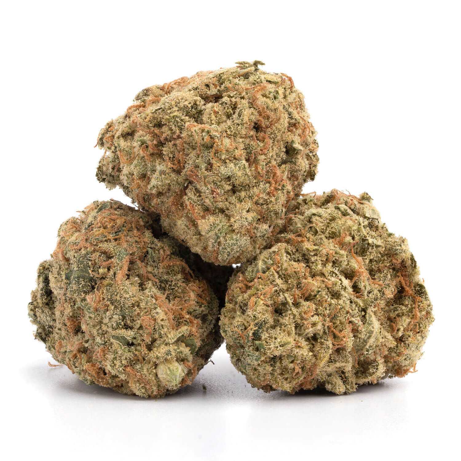 Orange Cookies Strain